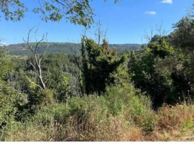 Immobile in asta di 62700 m² in vendita a Galatro - Foto 10