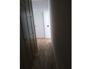 Bilocale affittasi