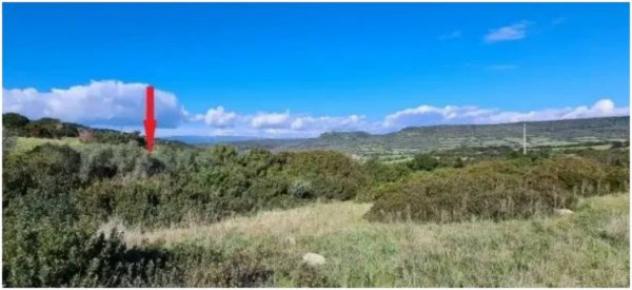 Immobile in asta di 23165 m² in vendita a Fordongianus - Foto 4