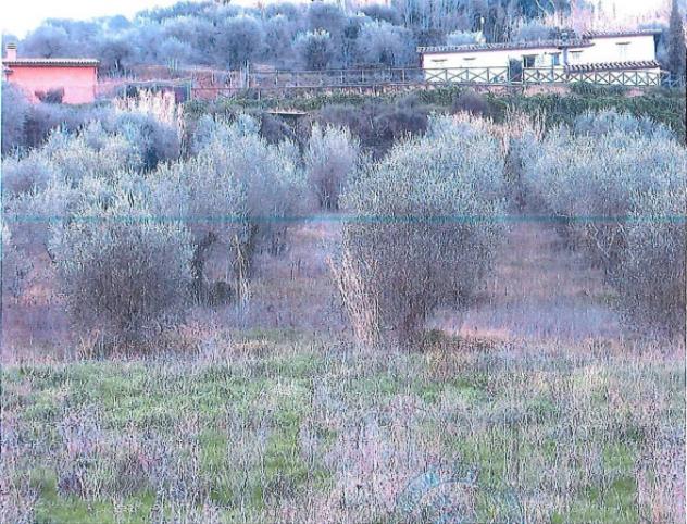 Immobile in asta di 33490 m² in vendita a Perugia - Foto 3