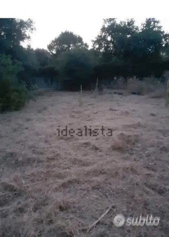 TERRENO EDIFICABILE - Foto 4