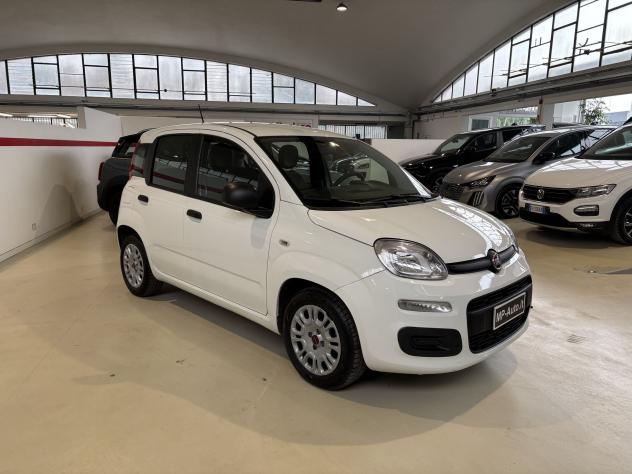 FIAT Panda 1.0 FireFly 70cv S&S Hybrid TUA A 237,00 AL MESE - Foto 3