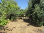Terreno in vendita a Melilli, Villasmundo