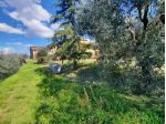 Rustico in vendita a Montecarlo 130 mq  Rif: 1108731