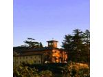 Azienda Agricola Poggio Bartoli di Lippi Antonio