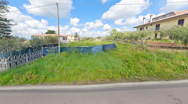 Agricolo in Via Tor Paluzzi - Foto 3
