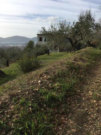 Villa in vendita a Castelnuovo Magra - Foto 16