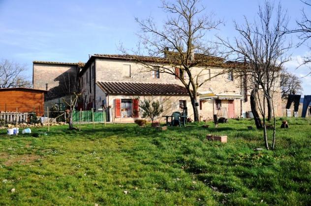 Colonica in vendita a Monteriggioni 530 mq Rif: 1199449 - Foto 4