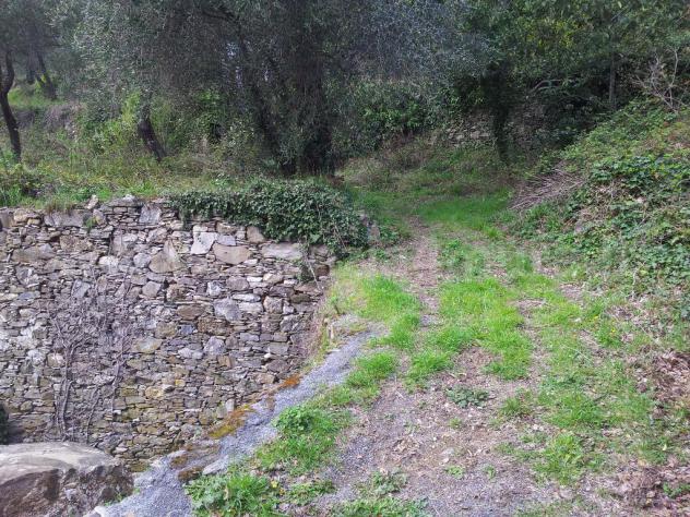 Alassio, terreno collinare vista mare, con piccolissimo rustico. - Foto 7