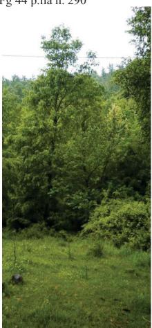 R.G.E. 62/2006 Potenza - Foto 2