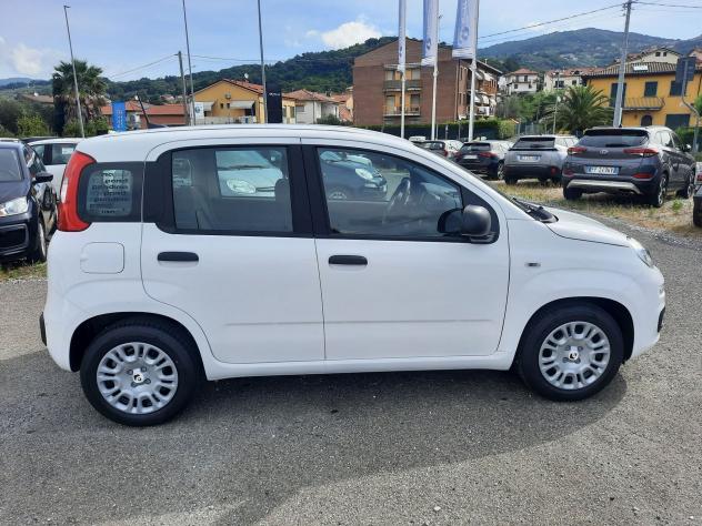 FIAT Pandina PANDA MY26 1.0 65CV HYBRID ICON - Foto 8