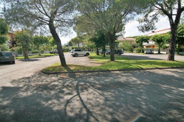 Appartamento in affitto a Marina di Carrara - Carrara 75 mq Rif: 1141249 - Foto 5