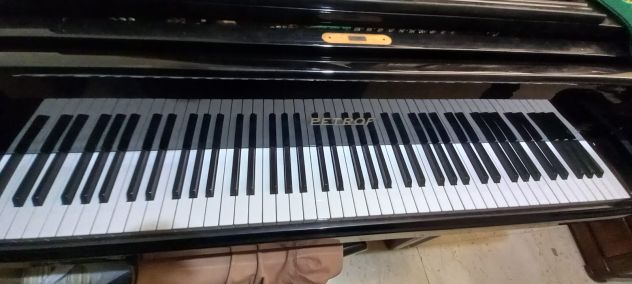 PETROF p173 BREEZE -- pianoforte a coda Repubblica Ceca – 2001 - Foto 5