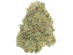 Gorilla Glue