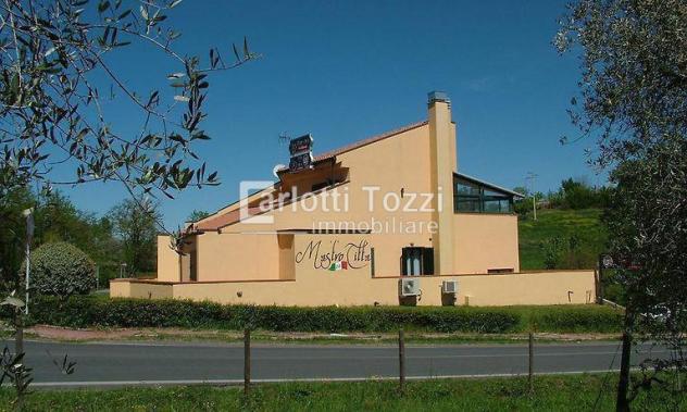 ALBERGO di 11 vani e di 600 mq (MANCIANO) rif. 03423 - Foto 14
