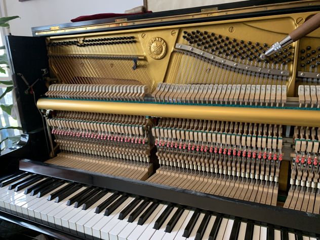 ACCORDATORE DI PIANOFORTI MONZA E BRIANZA - Foto 3