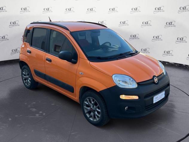 FIAT Panda 1.3 Mjt 4x4 VAN 2 posti - Foto 3