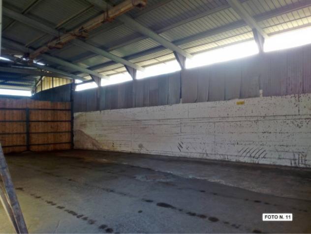 Immobile in asta di 11410 m² con più di 5 locali in vendita a Amelia - Foto 11