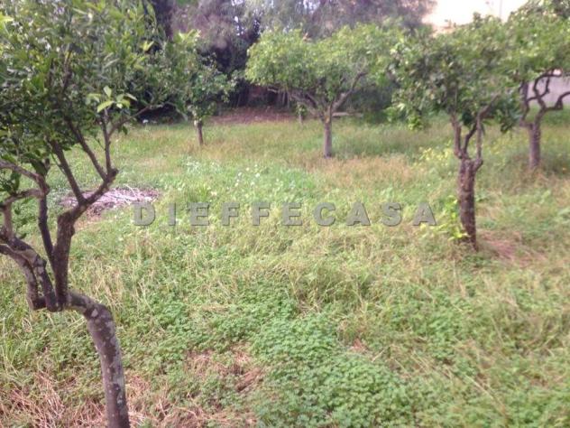 V1304 - In vendita a Marsala casa con terreno in periferia - Foto 6