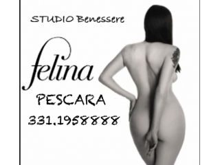 Massaggi - benessere Pescara - FELINA MASSAGGI BENESSERE Tel:3311958888