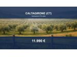 Immobile in asta di 17864 m² in vendita a Caltagirone