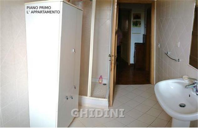 CASALE di 350 mq (CIVITELLA PAGANICO - PAGANICO) rif. 2570.300M - Foto 18