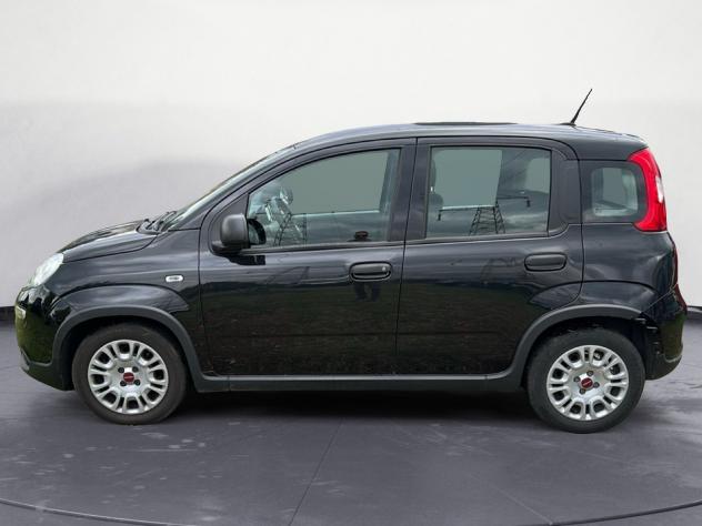 FIAT Panda 1.0 firefly hybrid s&s 70cv - Foto 2