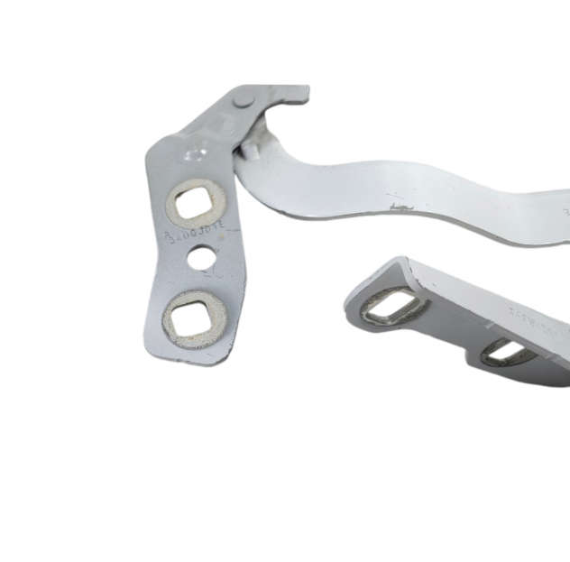CERNIERE COFANO ANTERIORE DX E SX FORD Kuga Serie (DFK) LJ6B-S16800-AB (19) - Foto 5