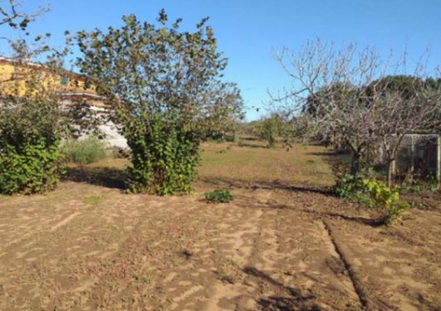 Immobile in asta di 1826 m² in vendita a Nettuno - Foto 7