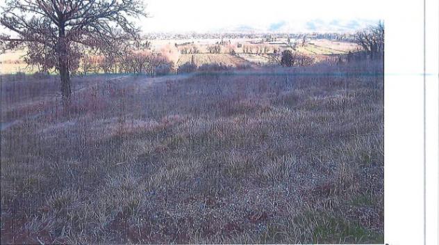 Immobile in asta di 33490 m² in vendita a Perugia - Foto 13