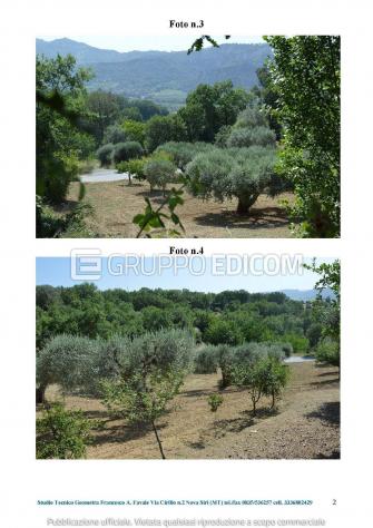 Terreno di 2310 mq in vendita a San Giorgio Lucano - Rif. 4554498 - Foto 3