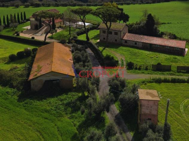 Magazzino 1 locale - Rif. 2481 - Foto 5