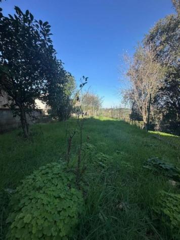Terratetto in vendita a Alica - Baccanella - Palaia 270 mq Rif: 1304792 - Foto 2