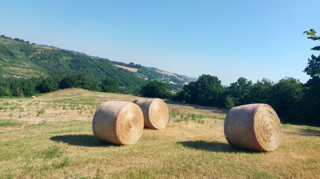 Casa in costruzione di 160 mq con terreno agricolo di 66.500 mq - Foto 7