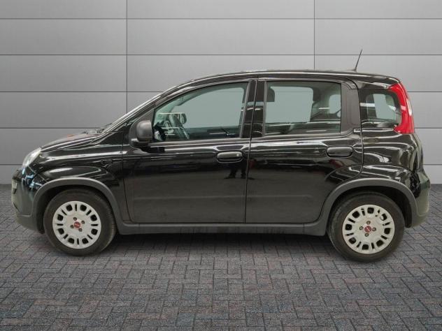 FIAT Panda III 2021 1.0 firefly hybrid Sport s&s 70cv - Foto 2