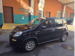 FIAT - Panda - 1.0 FireFly S&S Hybrid