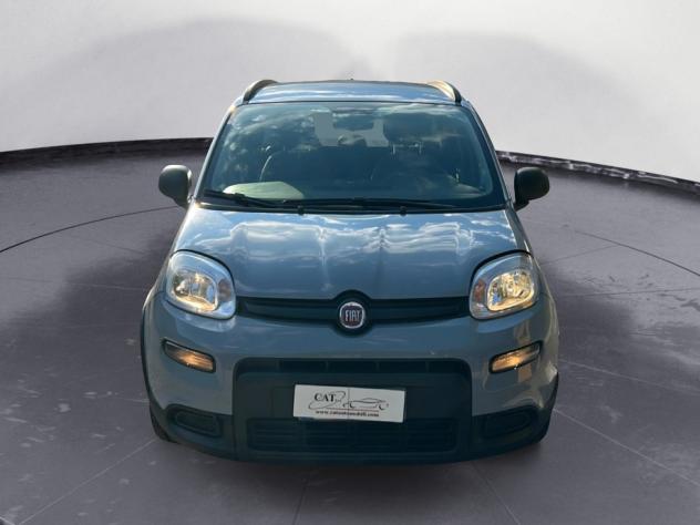 FIAT Panda Panda 1.0 hybrid City Life (PREZZO REALE) - Foto 3