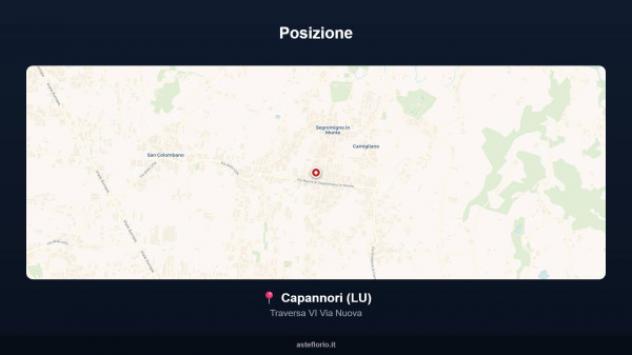 Immobile in asta di 1119 m² in vendita a Capannori - Foto 3