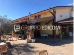 Fabbricati per attività agricole in vendita a Sona - Rif. 4546690