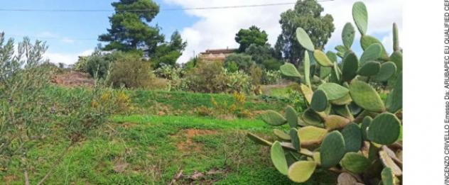 Immobile in asta di 120 m² in vendita a Bolognetta - Foto 7