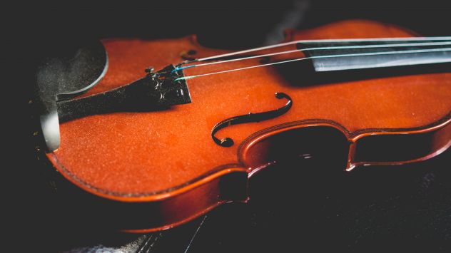 Violinista Monza