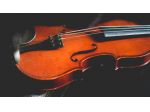 Violinista Monza