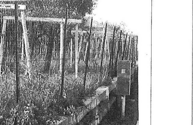 Immobile in asta di 1280 m² in vendita a Poggiofiorito - Foto 15
