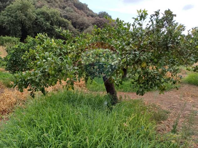 Terreno in vendita a Chiaramonte Gulfi - Foto 11