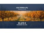Immobile in asta di 233794 m² in vendita a Volterra