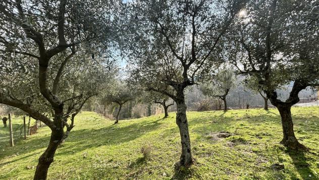Rustico/Casale/Corte - Alatri . Rif.: Cod. rif 3297841VRG - Foto 9