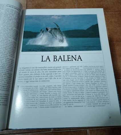 Mari e oceani Gli animali e il loro ambiente - Foto 2