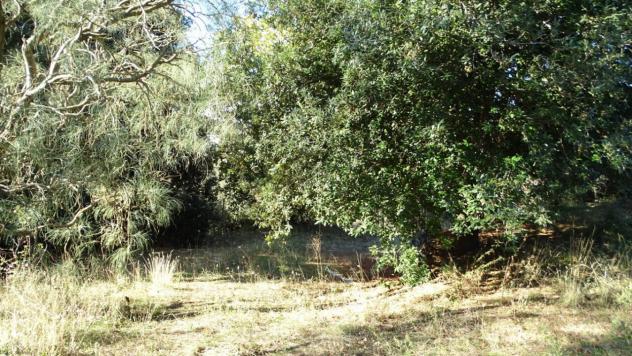Area verde in vendita a Biancavilla - Foto 10