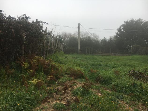 Agricolo in vendita a Sacrofano - Foto 5
