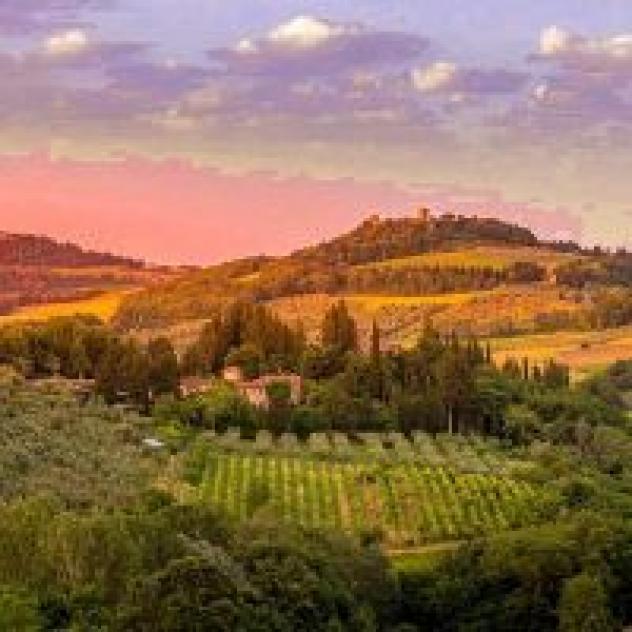 Poderi in Chianti